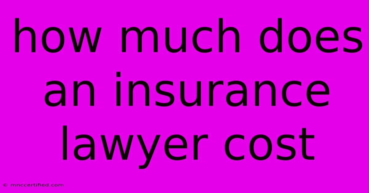 How Much Does An Insurance Lawyer Cost