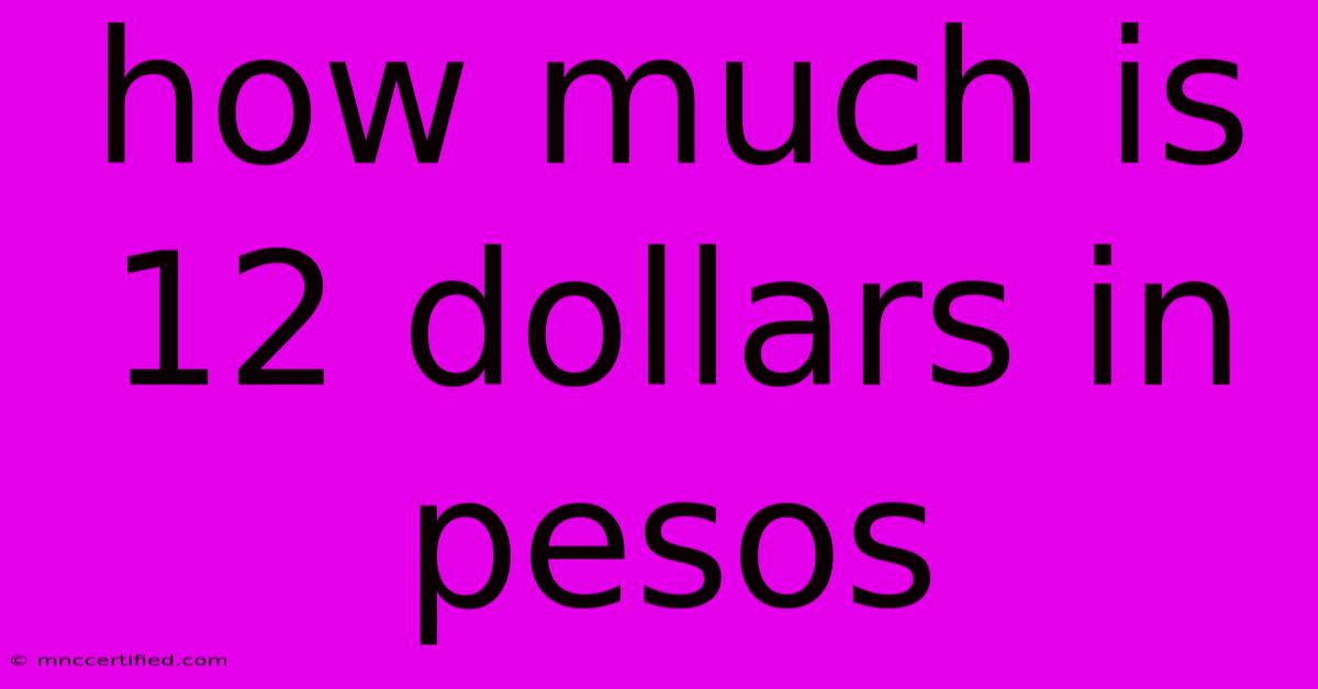 How Much Is 12 Dollars In Pesos