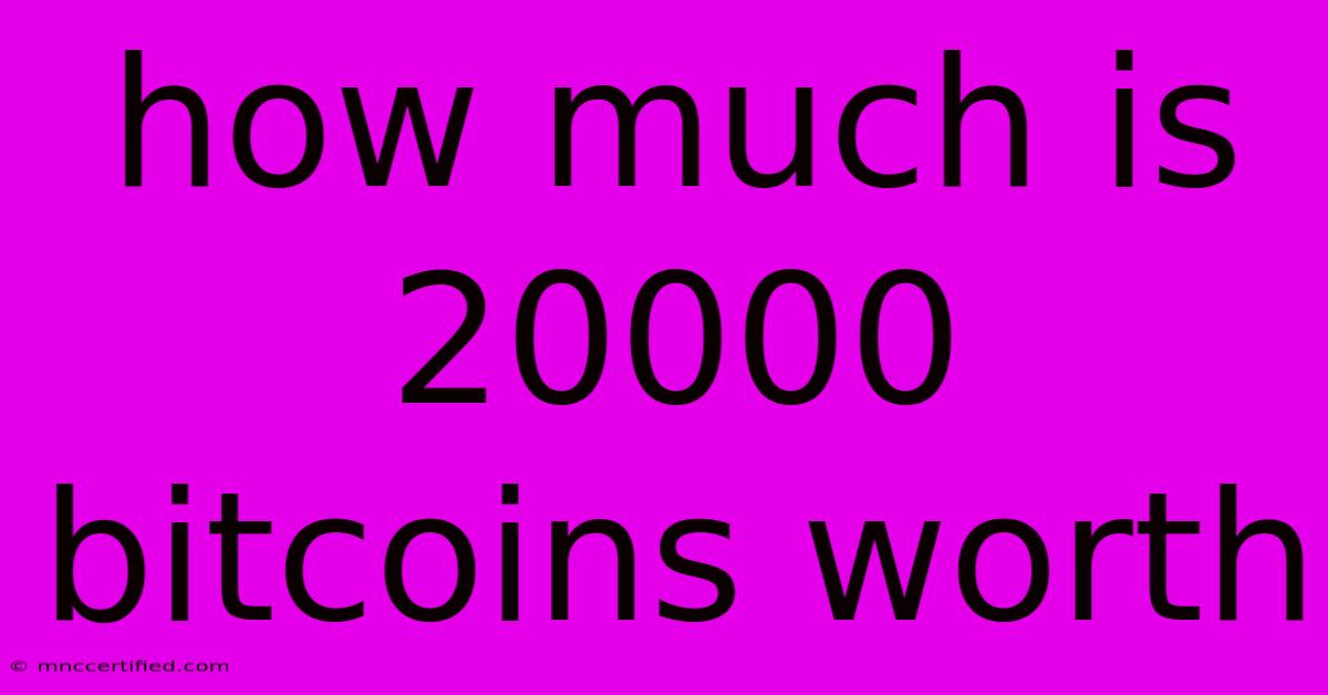 How Much Is 20000 Bitcoins Worth