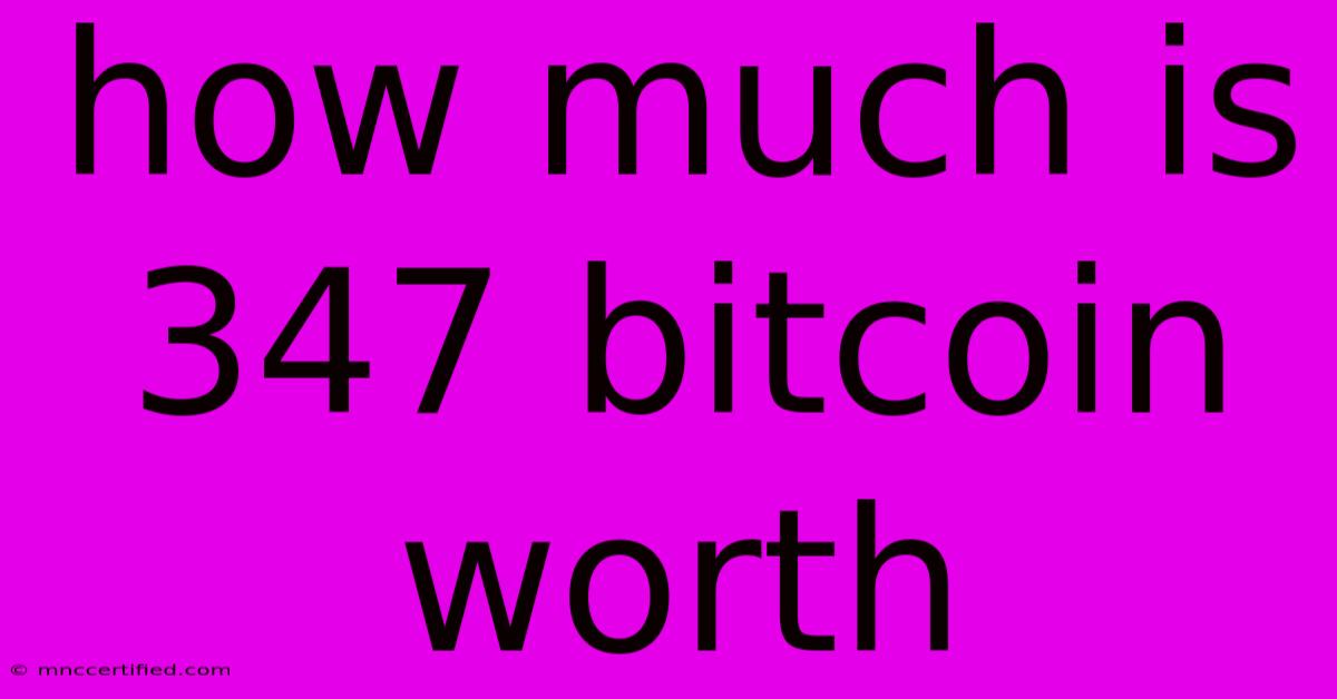 How Much Is 347 Bitcoin Worth