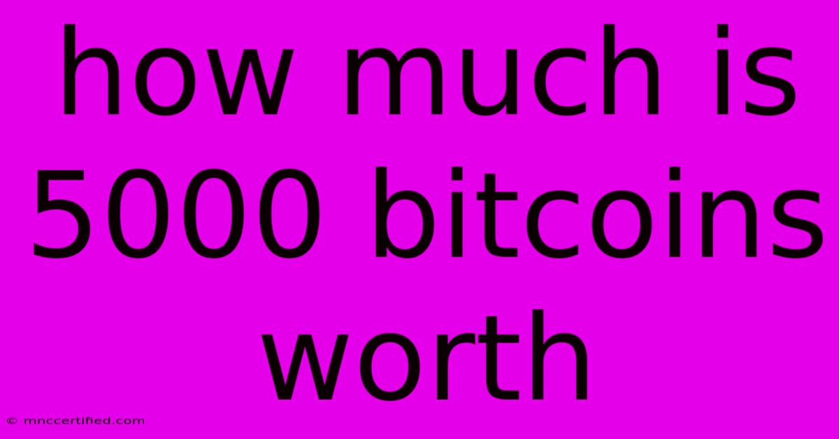 How Much Is 5000 Bitcoins Worth