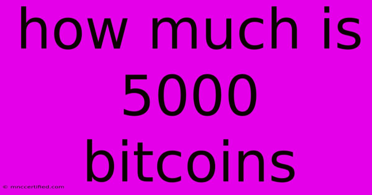 How Much Is 5000 Bitcoins