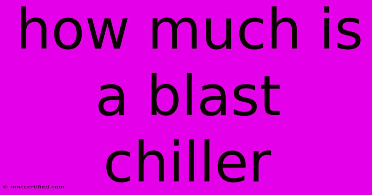 How Much Is A Blast Chiller