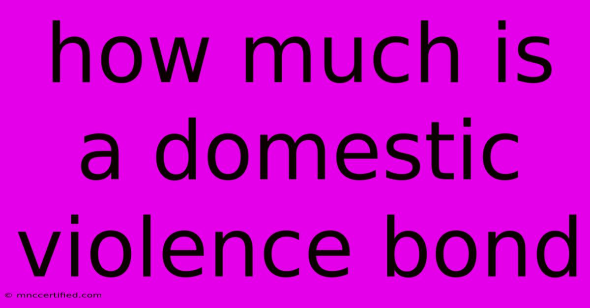 How Much Is A Domestic Violence Bond