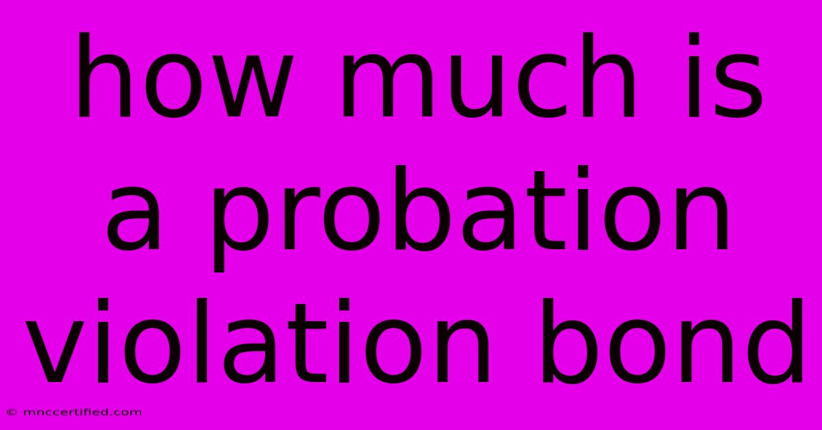 How Much Is A Probation Violation Bond