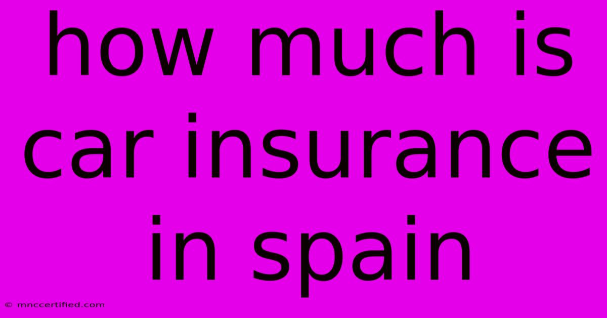 How Much Is Car Insurance In Spain