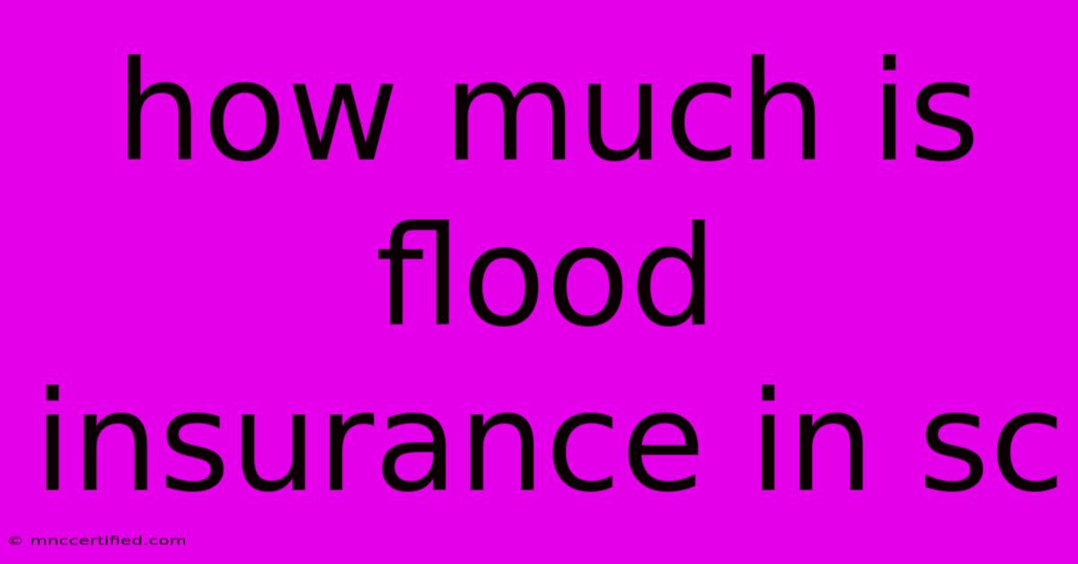 How Much Is Flood Insurance In Sc