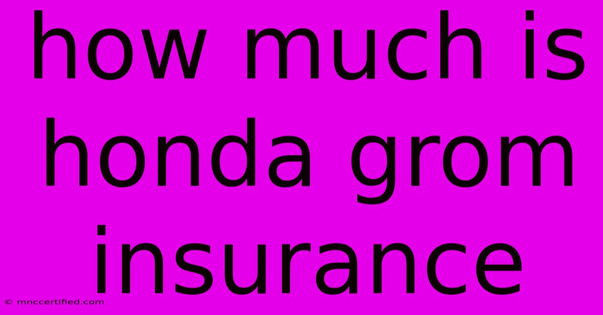 How Much Is Honda Grom Insurance