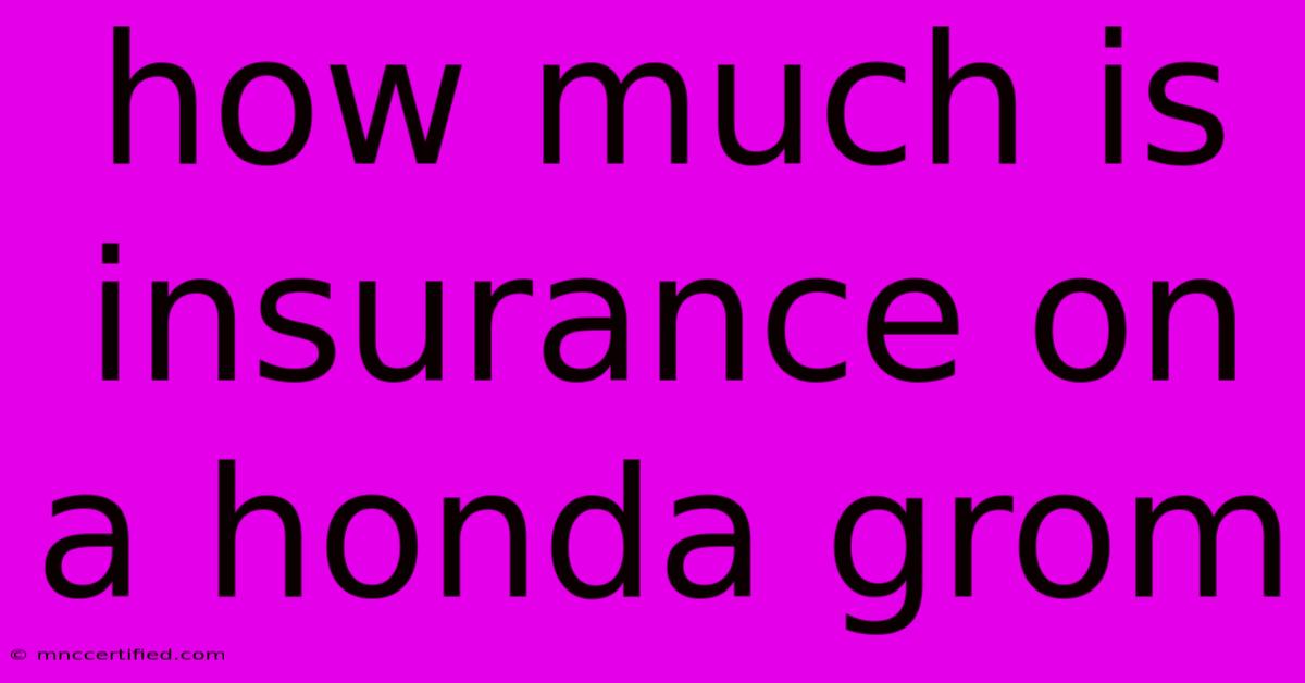 How Much Is Insurance On A Honda Grom