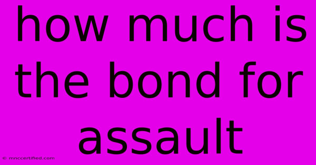 How Much Is The Bond For Assault