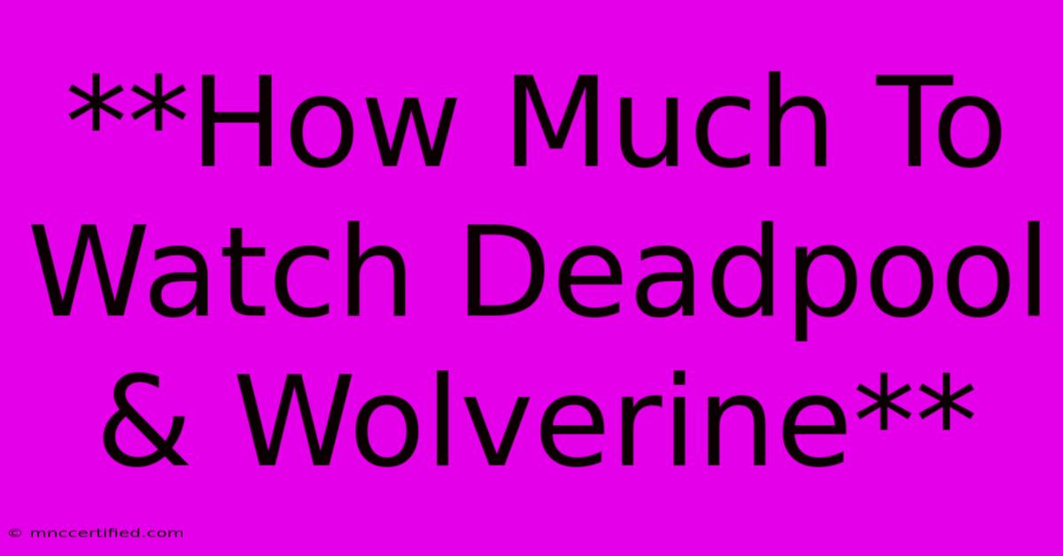 **How Much To Watch Deadpool & Wolverine**