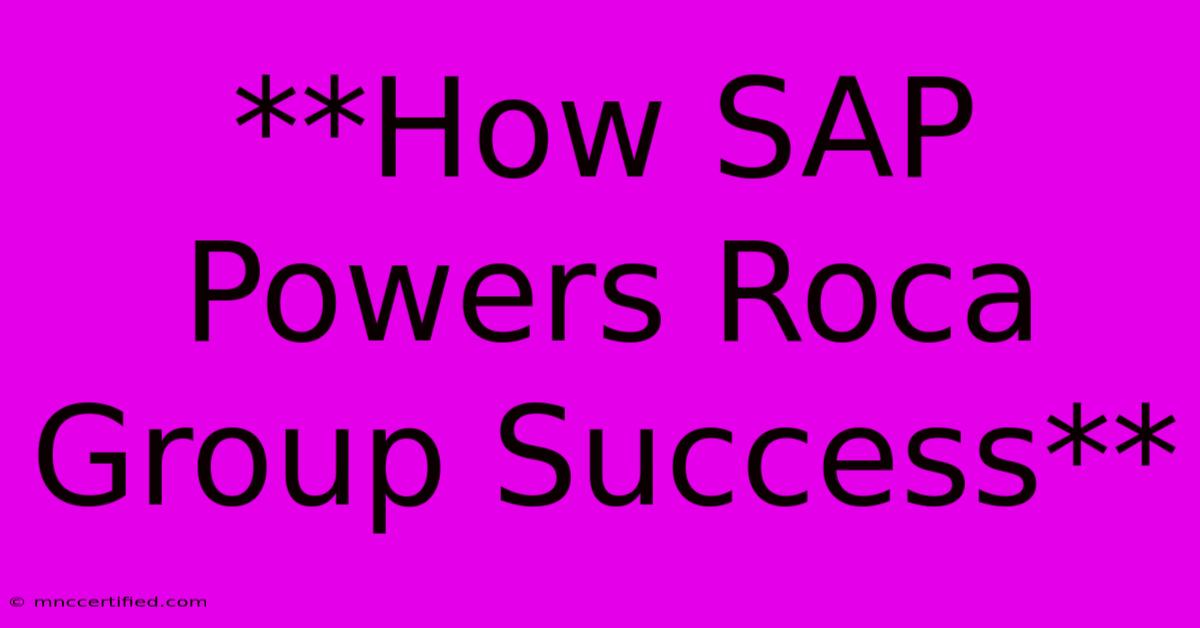 **How SAP Powers Roca Group Success**