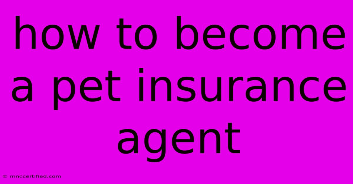 How To Become A Pet Insurance Agent