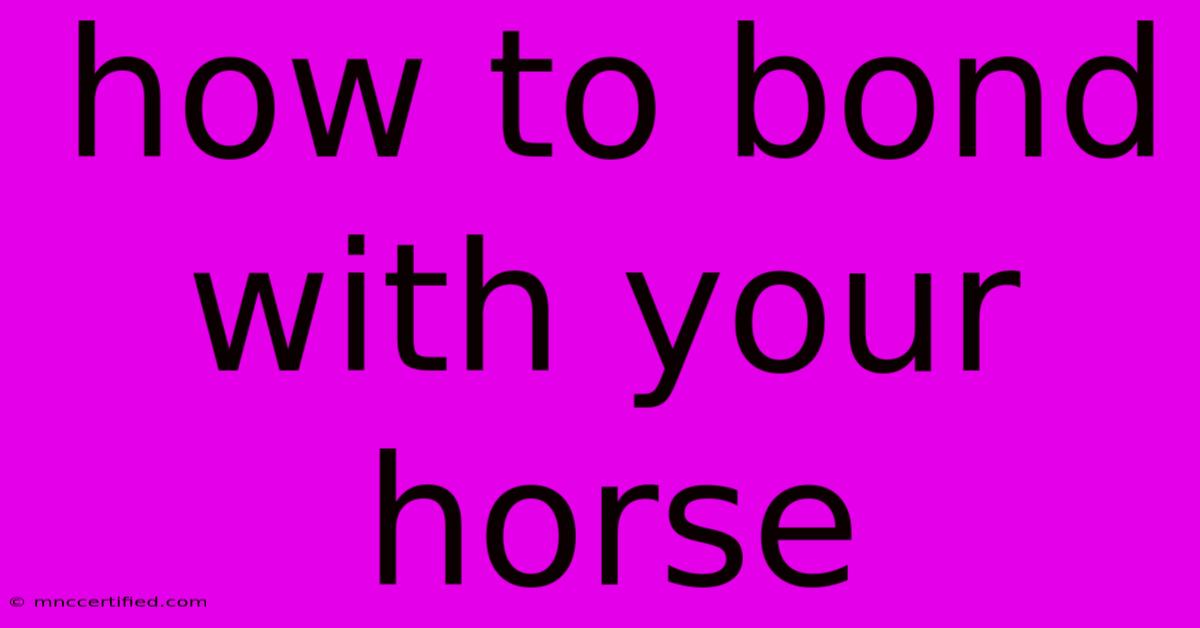 How To Bond With Your Horse