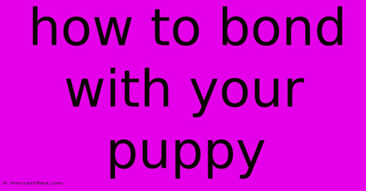 How To Bond With Your Puppy