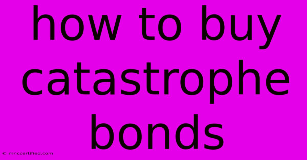 How To Buy Catastrophe Bonds