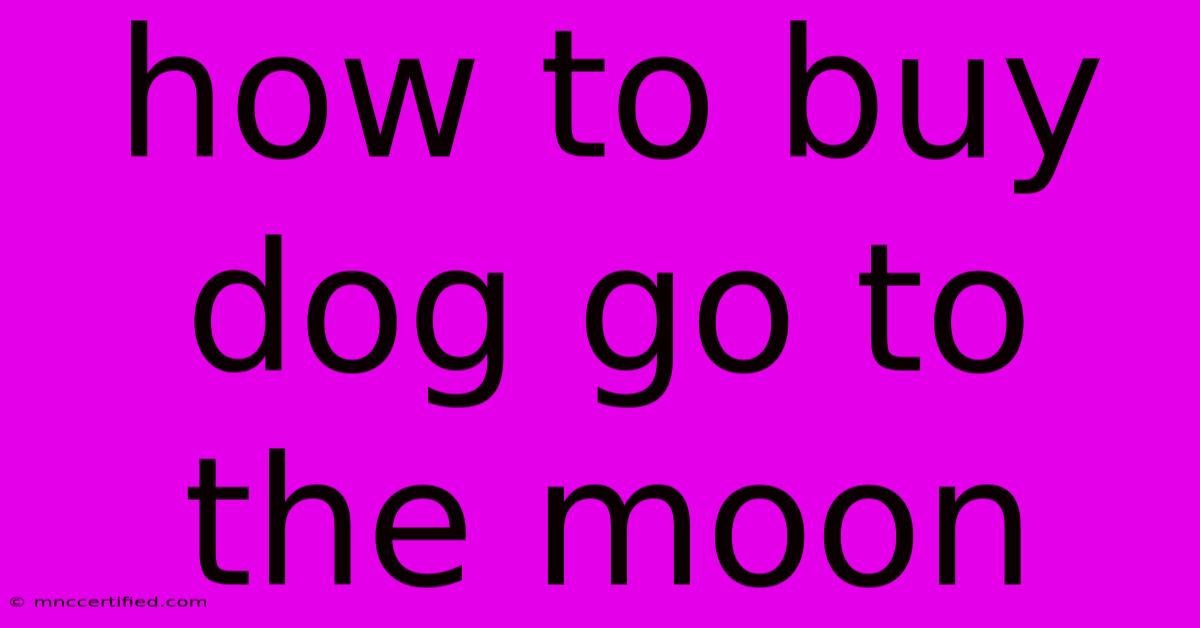 How To Buy Dog Go To The Moon