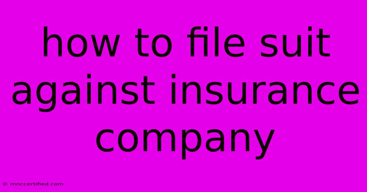 How To File Suit Against Insurance Company