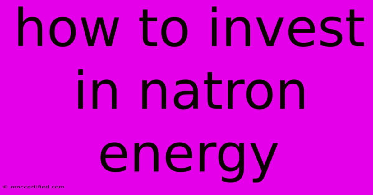 How To Invest In Natron Energy