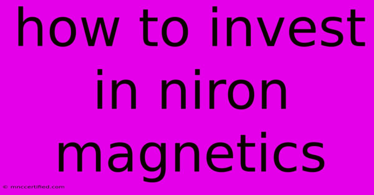 How To Invest In Niron Magnetics