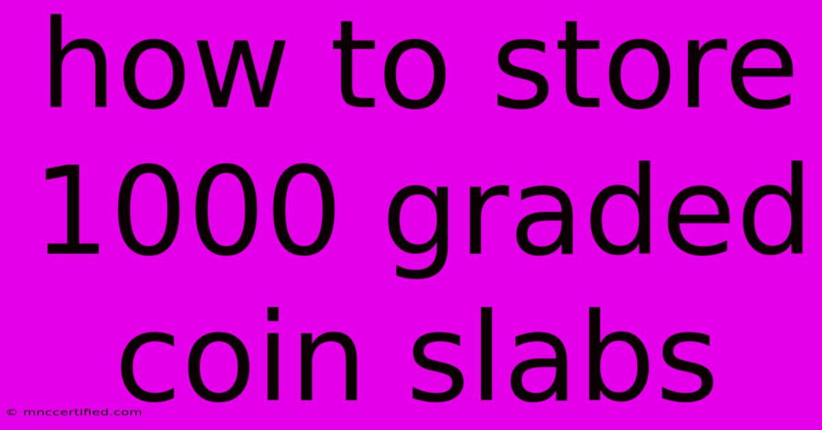 How To Store 1000 Graded Coin Slabs