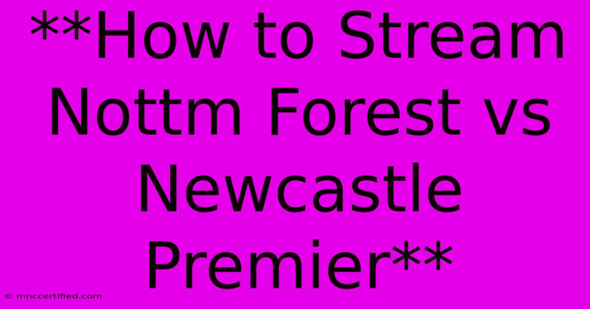 **How To Stream Nottm Forest Vs Newcastle Premier**