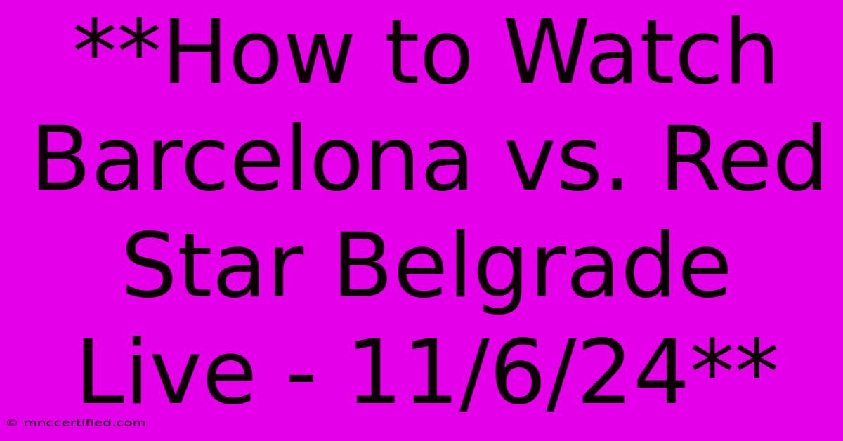 **How To Watch Barcelona Vs. Red Star Belgrade Live - 11/6/24** 