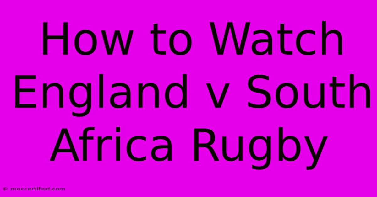 How To Watch England V South Africa Rugby