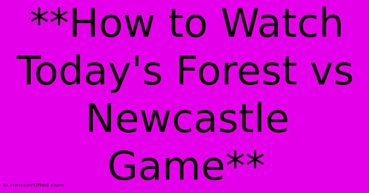 **How To Watch Today's Forest Vs Newcastle Game**