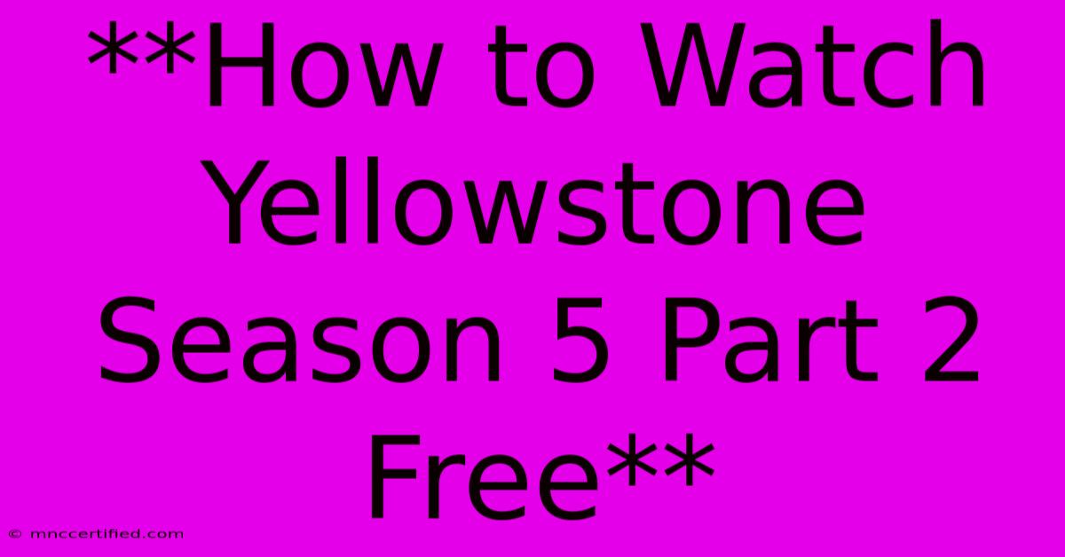 **How To Watch Yellowstone Season 5 Part 2 Free**