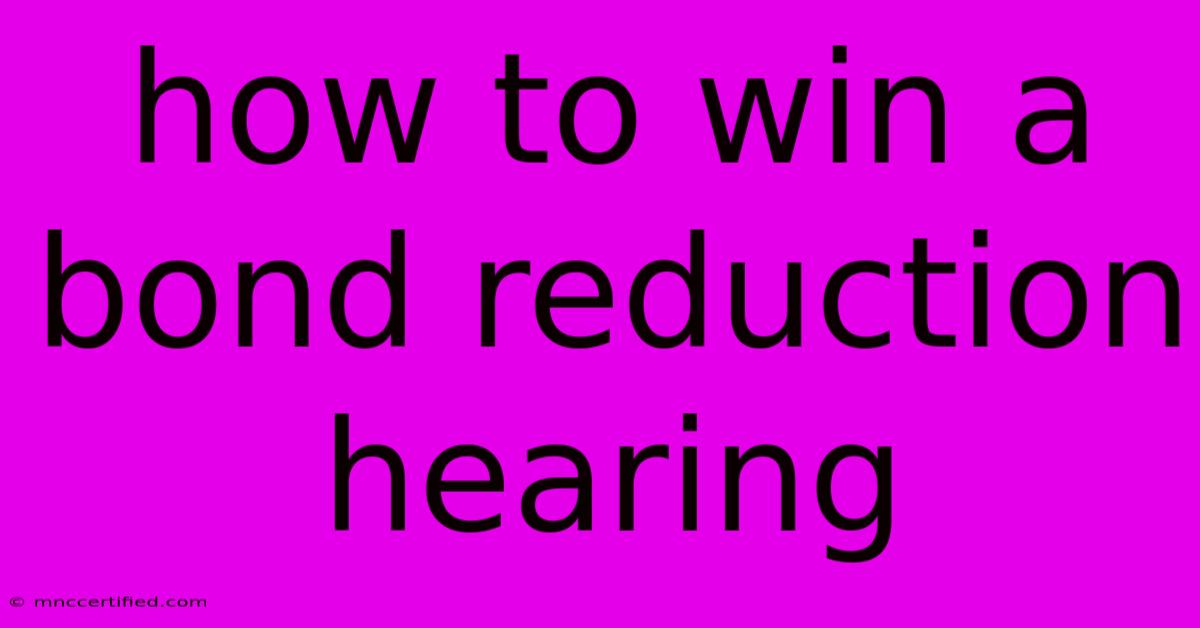 How To Win A Bond Reduction Hearing