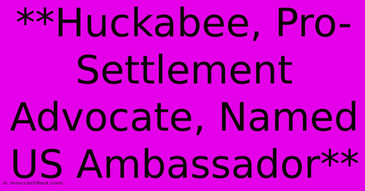 **Huckabee, Pro-Settlement Advocate, Named US Ambassador**