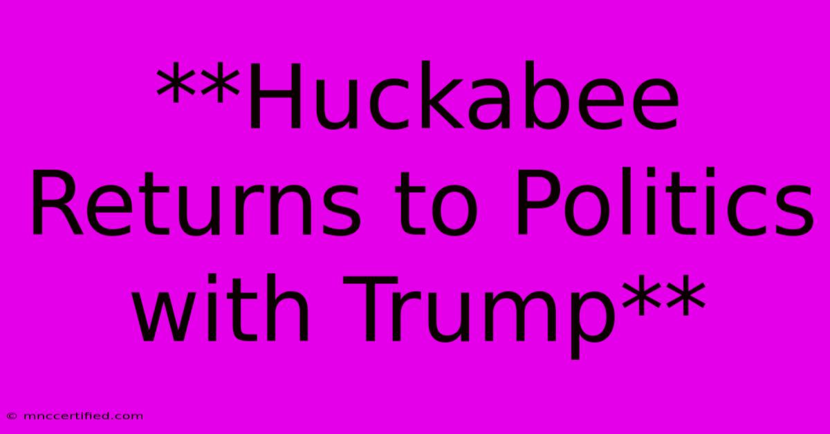 **Huckabee Returns To Politics With Trump**