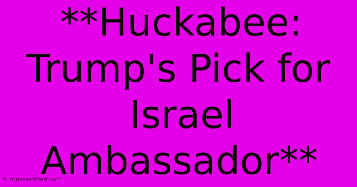 **Huckabee: Trump's Pick For Israel Ambassador**