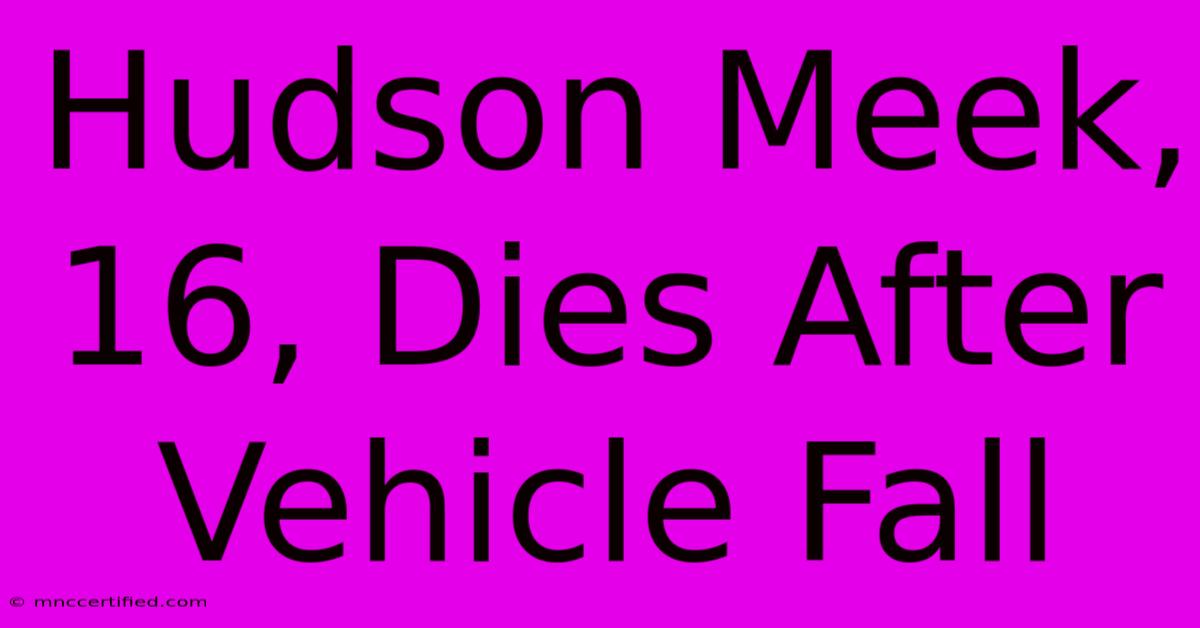 Hudson Meek, 16, Dies After Vehicle Fall