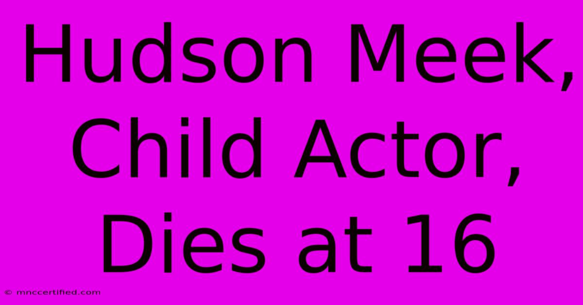 Hudson Meek, Child Actor, Dies At 16