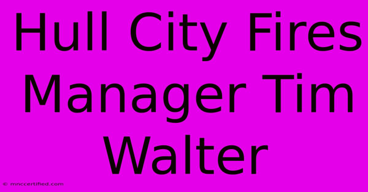 Hull City Fires Manager Tim Walter