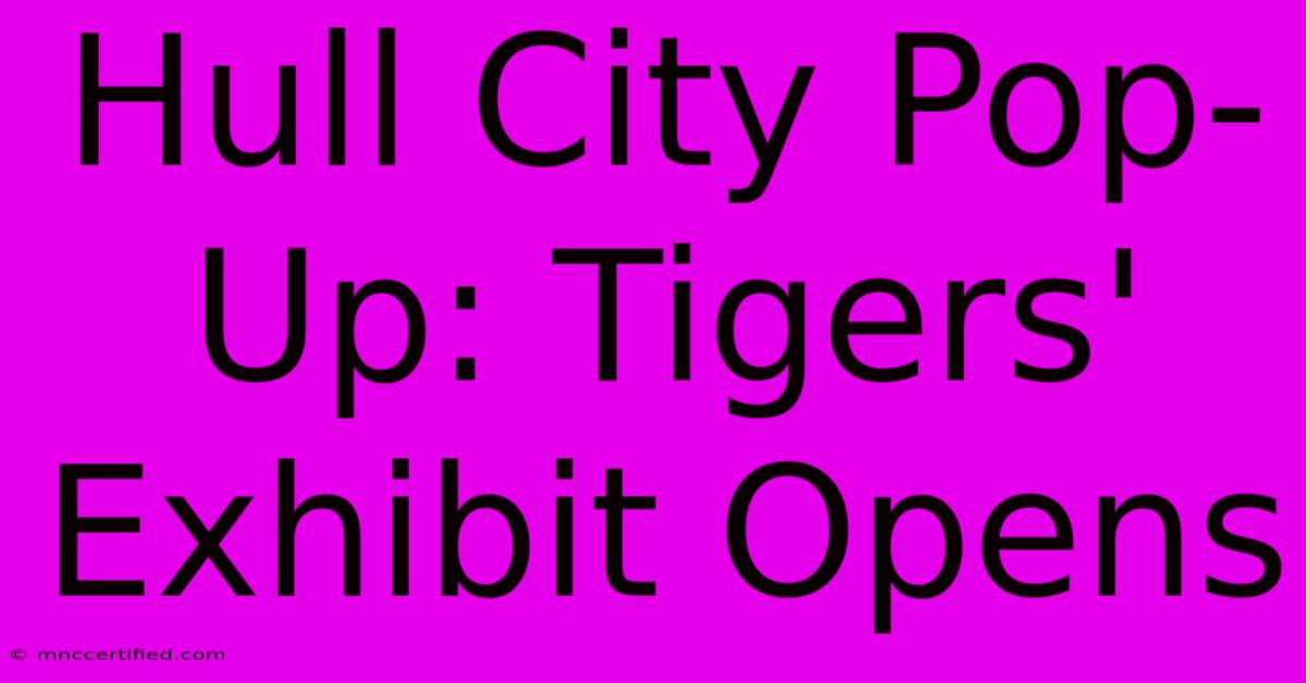 Hull City Pop-Up: Tigers' Exhibit Opens