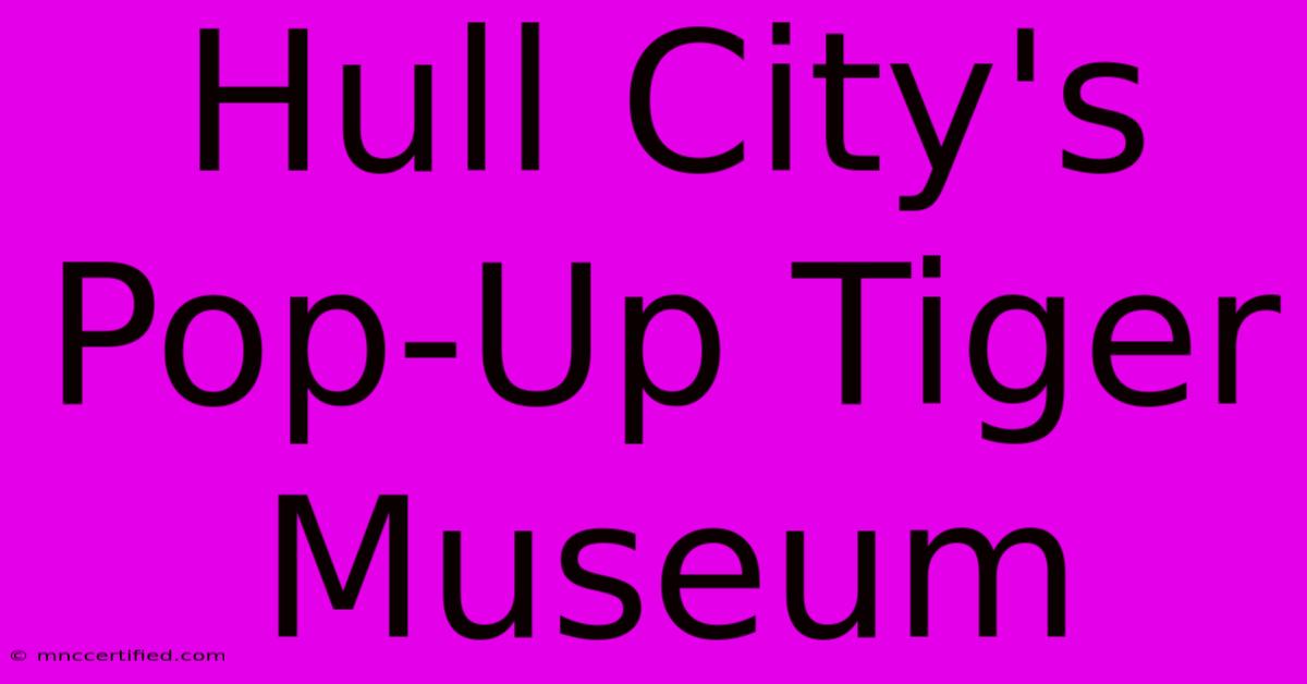 Hull City's Pop-Up Tiger Museum