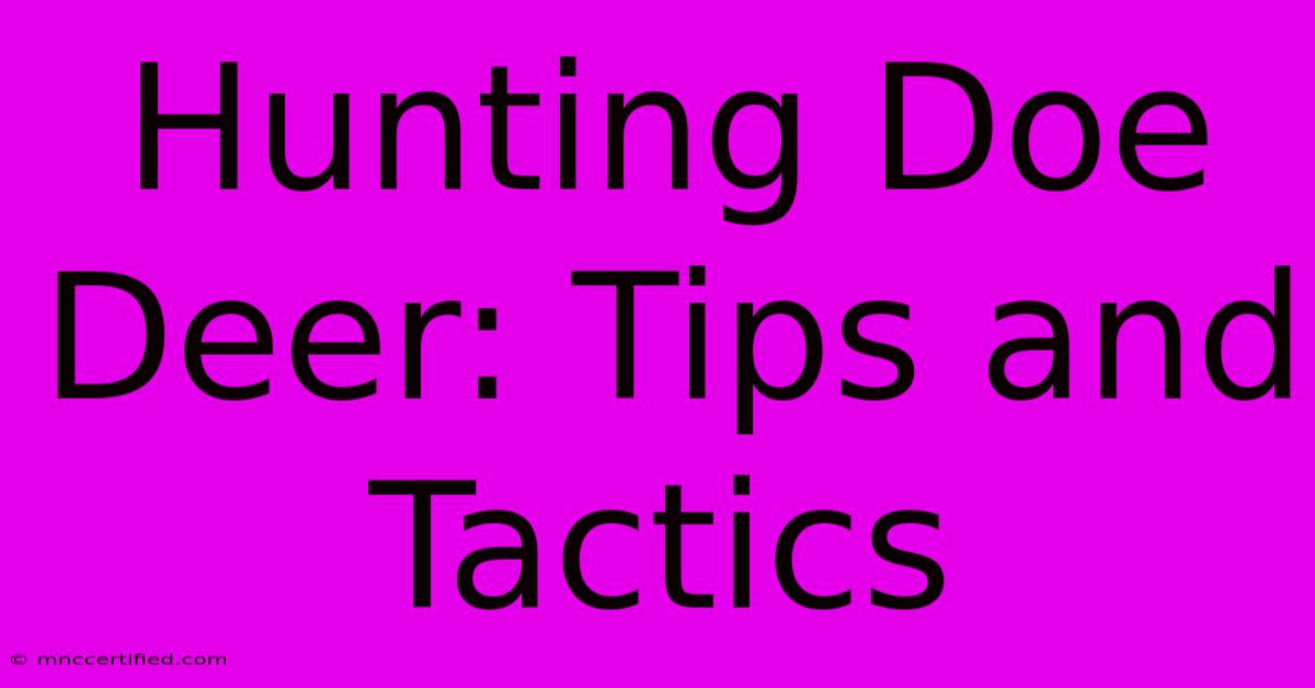 Hunting Doe Deer: Tips And Tactics