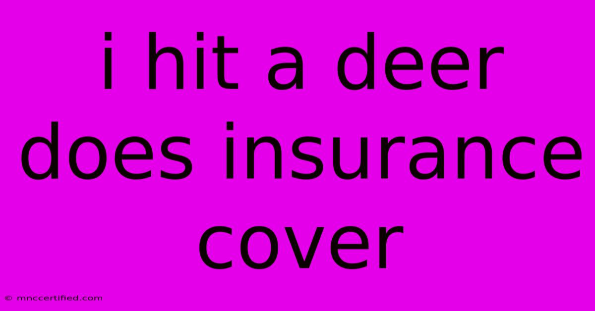 I Hit A Deer Does Insurance Cover