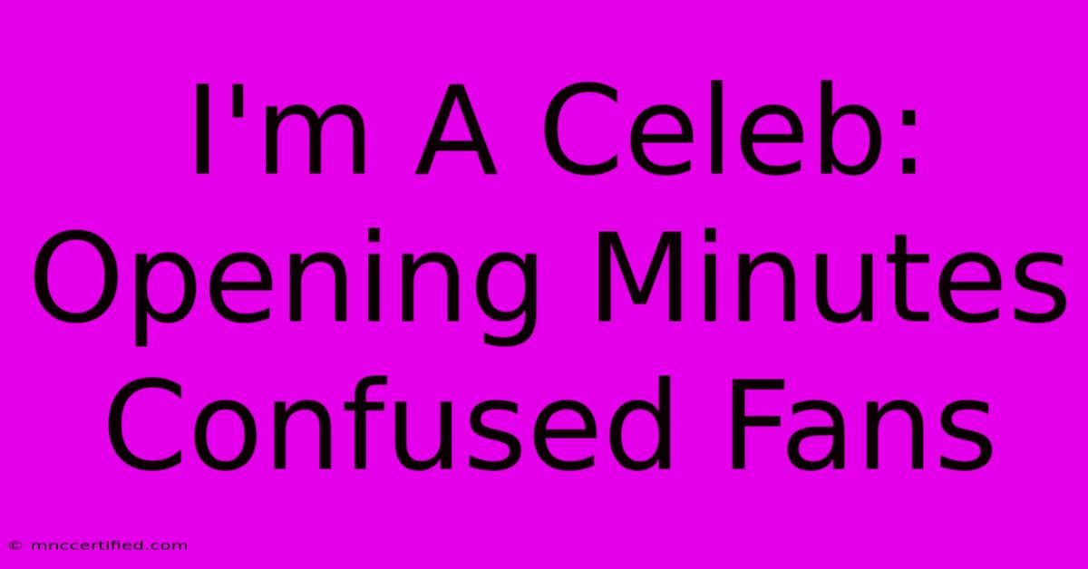 I'm A Celeb: Opening Minutes Confused Fans