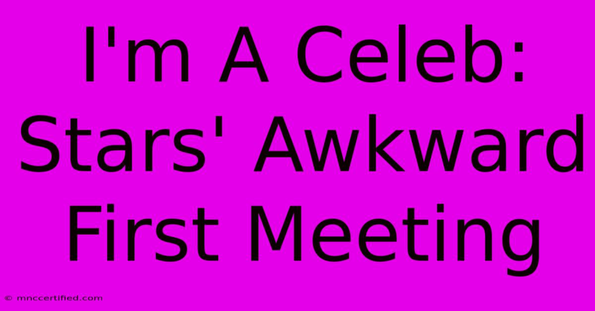 I'm A Celeb: Stars' Awkward First Meeting