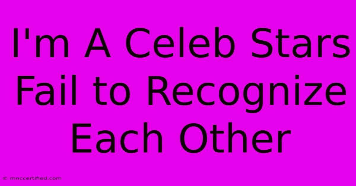 I'm A Celeb Stars Fail To Recognize Each Other