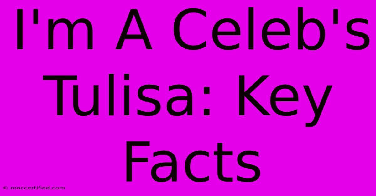 I'm A Celeb's Tulisa: Key Facts