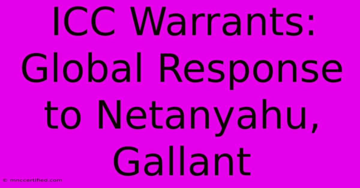 ICC Warrants: Global Response To Netanyahu, Gallant