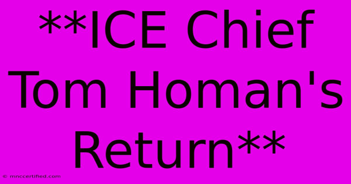 **ICE Chief Tom Homan's Return**