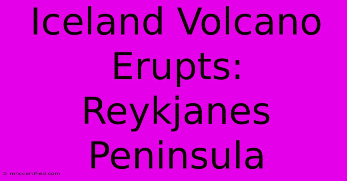 Iceland Volcano Erupts: Reykjanes Peninsula