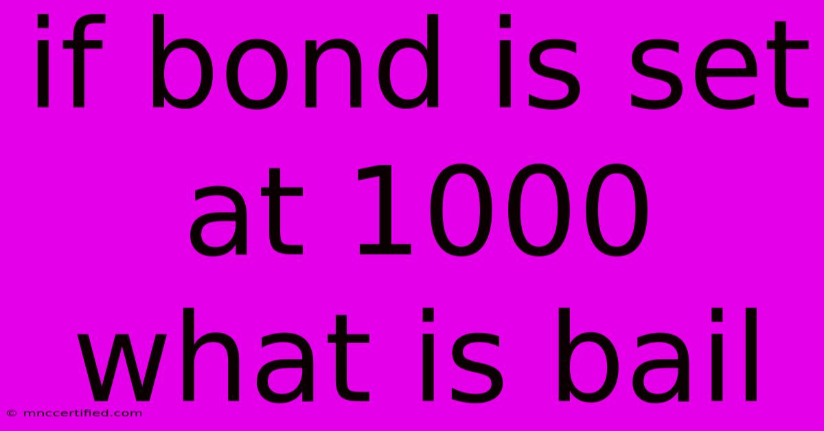 If Bond Is Set At 1000 What Is Bail