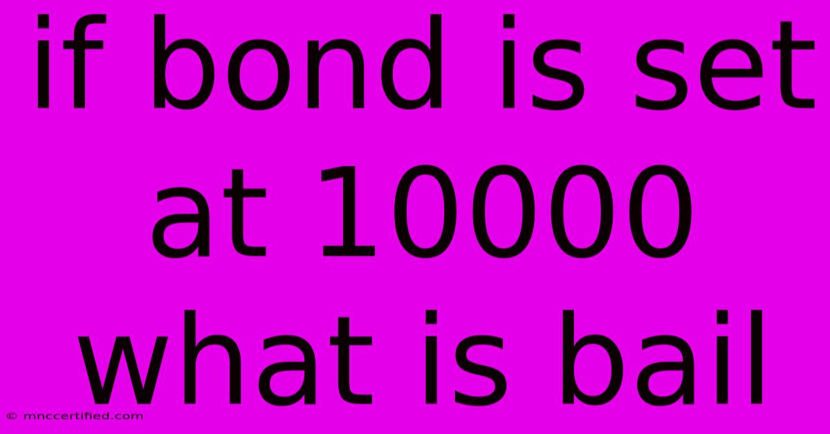 If Bond Is Set At 10000 What Is Bail